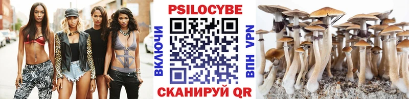 Псилоцибиновые грибы Psilocybe  Лихославль 